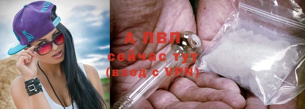 крисы Балахна