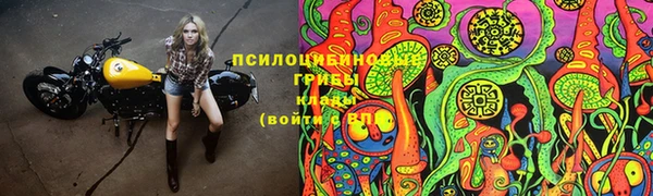 крисы Балахна