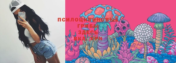 крисы Балахна