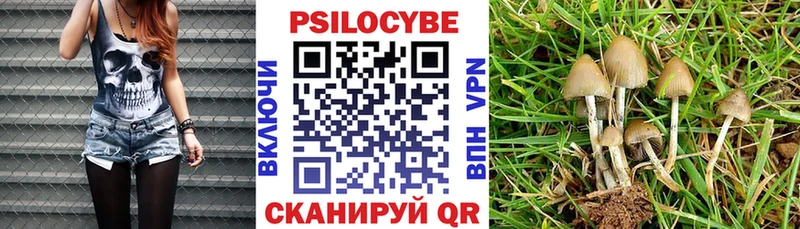Галлюциногенные грибы мухоморы  blacksprut ТОР  Белоусово 
